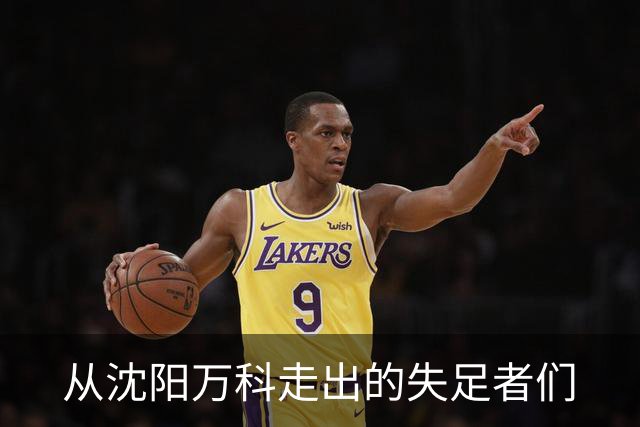 从沈阳万科走出的失足者们